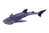 whale shark