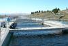 GAPI: Large scale salmon production creates large scale problems.