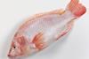 An increase in tilapia sales slightly offset the overall volume reduction of shrimp and ocean-caught fish products HQ sold in Q3.