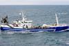 HB Grandi‘s pelagic vessel Lundey NS has started the search for pearlside.