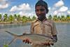 Boy with a milkfish in India. Credit: Arun Padiyar, 2011/CC BY-NC-ND 2.0