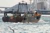 Korean fisheries need reform, claim NGOs