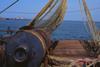 In 2011, the UN General Assembly will review the actions taken by EU and other high seas fishing nations to implement the 2009 resolution.