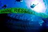 The new reserves will be managed for biodiversity conservation. Photo: Greenpeace/Carè/Marine Photobank