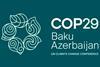 COP29