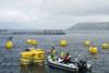 WaveNet is a scalable array of floating ‘squid’ generator units that harvest wave energy