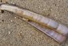 The small-scale razor clam (Ensis arcuatus) fishery operation in Ría de Pontevedra has been MSC certified