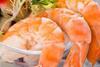 Indian Shrimp