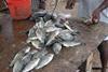 A village fish stall in Sri Lanka