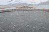 P2G Fish farm visit confirmed for the 5th Offshore Mariculture Conference 2014