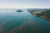Algal Bloom