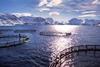 The aquaculture industry now accounts for 62% of all Norwegian seafood exports. Photo: Per Eide ©NSEC