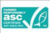 The ASC logo