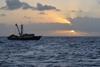 Tri Marine has achieved Fair Trade certification for its Solomon Islands yellowfin and skipjack tuna fishery Photo: Tri Marine