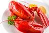 US lobster