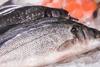 Seabass
