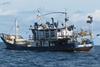 Commercial longlining ships like this Panamanian vessel photographed off Panama will now be banned in the waters of the Central American nation, from setting hundreds of baited hooks to its lines which attract bycatch species like billfish, turt...