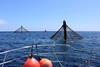 The first two Aquaculture Opportunity Areas in the US have been chosen Photo: NOAA Fisheries
