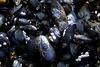Mussel sales are set to increase of the Valentine’s period