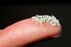 Several nations have already pledged to ban the use of microbeads. © Fred Dott / Greenpeace