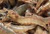 The first shrimp farm has entered into assessment against the ASC Shrimp Standard
