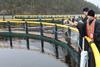 Russian salmon farms
