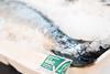 ASC has worked hard to improve its farmed salmon standard