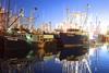 Commercial fishing vessels at Homers Wharf in the Port of New Bedford Waterfront. Picture provided by Mike Estabrook