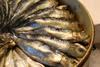 The panel predicted that there will be fish in 2050 but it will be mainly the smaller variety