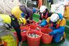 Sorting the catch during the herring survey