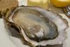 The UK shellfish industry will gather to discuss priorities for the year ahead