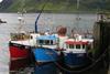 Greenpeace says that the UK fishing quota is being used to fill the coffers of overseas operators