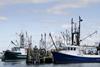 US promises seafood industry trade relief