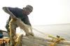 The project aims to strengthen Africa’s great potential for increased trade in fish. Credit: WorldFish