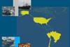 FAO review of fisheries in the Americas