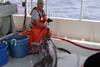James Barbour, NOAA fishing gear researcher, holds a swordfish. Credit: NOAA