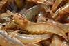 Shrimp