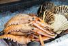 Continuing demand for Scottish seafood
