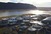 Samherji Fiskeldi land based facility on Iceland - Silfurstjarnan
