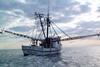 Shrimp vessel fishes off Florida. Credit: NOAA