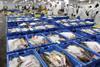 Grimsby Fish Market is developing and upgrading its facilities