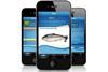 The “How fresh is your fish?” app. ©Nofima