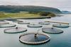 aquaculture closed pens at sea