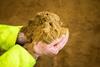 Fishmeal