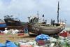 Small-scale fishermen make up three quarters of Britain’s fishing fleet