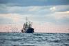 European bottom trawling