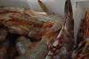 Tiger prawns