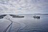 Salmon farming
