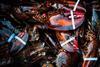 Lobster harvested from The Bay of Fundy, Scotian Shelf and Southern