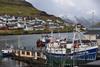 Klaksvík harbour in the Faroe Islands. Credit: Vincent van Zeijst/CC BY-SA 3.0